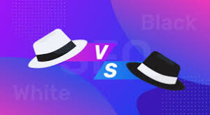 white hat vs black hat seo