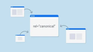 Importance of Canonical Tags