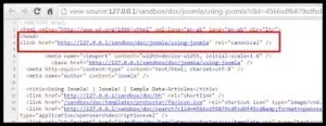 Canonical tag issues