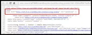 Canonical tag issues